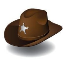 Avatar for Ian Walsh from gravatar.com