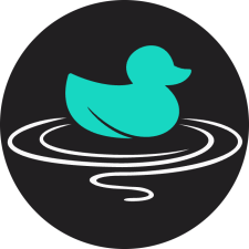 Avatar for Duckstring from gravatar.com