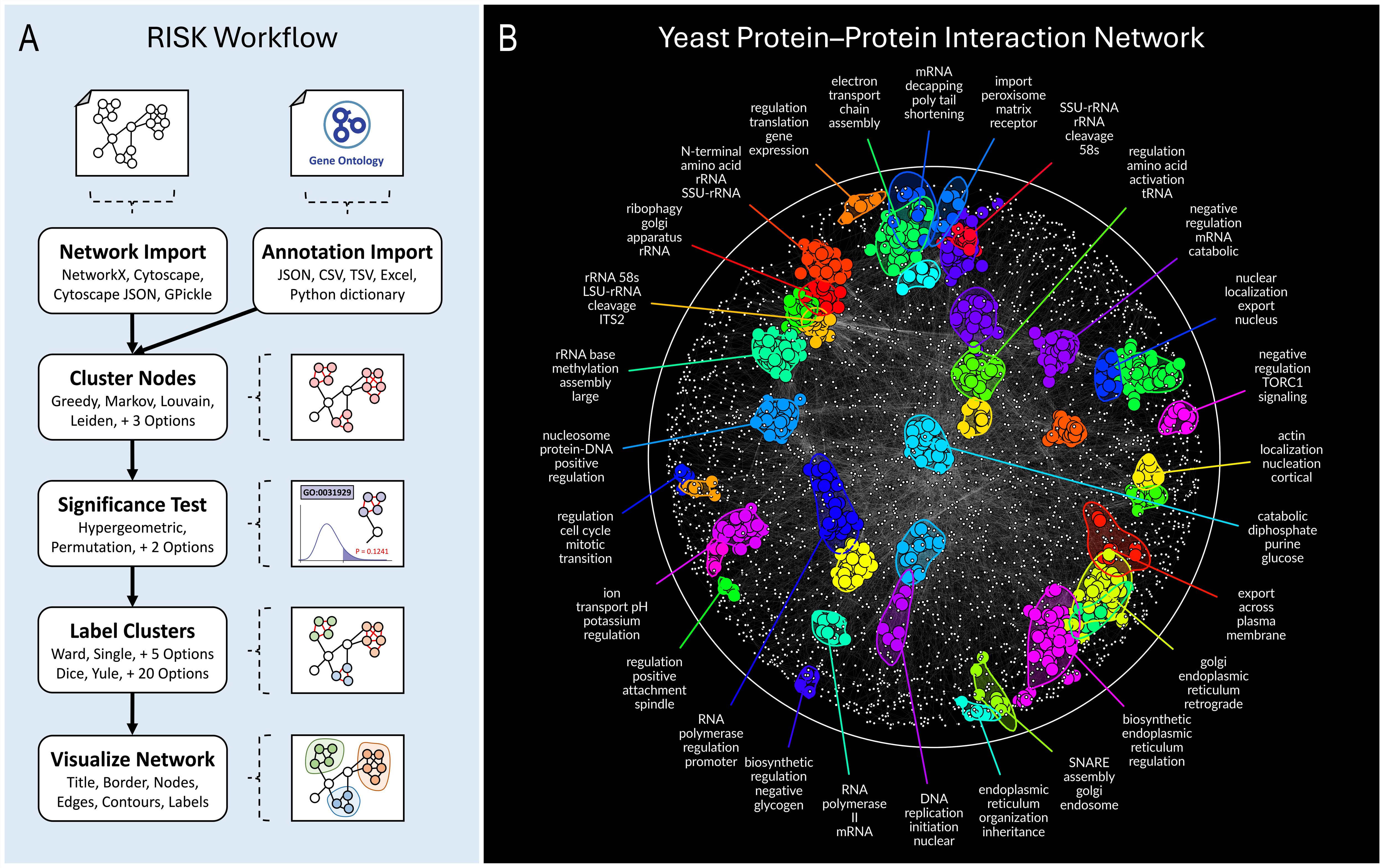 RISK analysis of the yeast PPI network