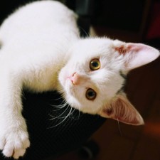 Avatar for Jimmy from gravatar.com