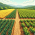 Avatar for query-farm from gravatar.com