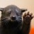 Avatar for kevinbowen from gravatar.com