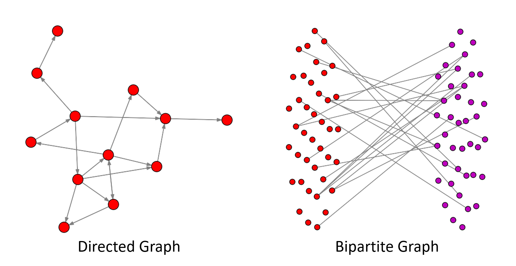 Visualization of directed graph and bipartite graph