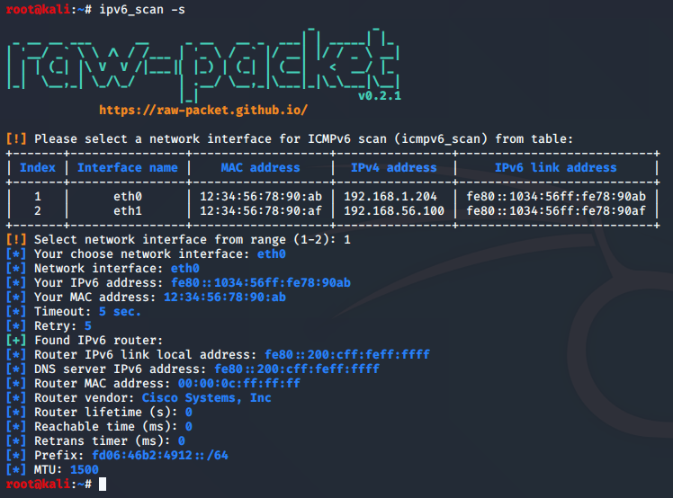 ipv6_router_search output