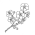 Avatar for lapetitesouris from gravatar.com