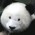 Avatar for izgzhen from gravatar.com
