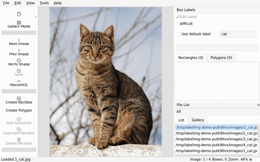 labelImg++ demo - gallery, bounding boxes, dark theme, polygons, keypoints and save