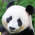 Avatar for scode from gravatar.com