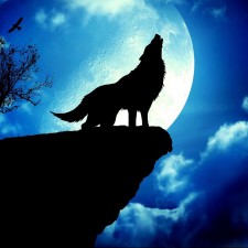 Avatar for Karthik S K from gravatar.com