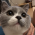 Avatar for ZzxxH from gravatar.com
