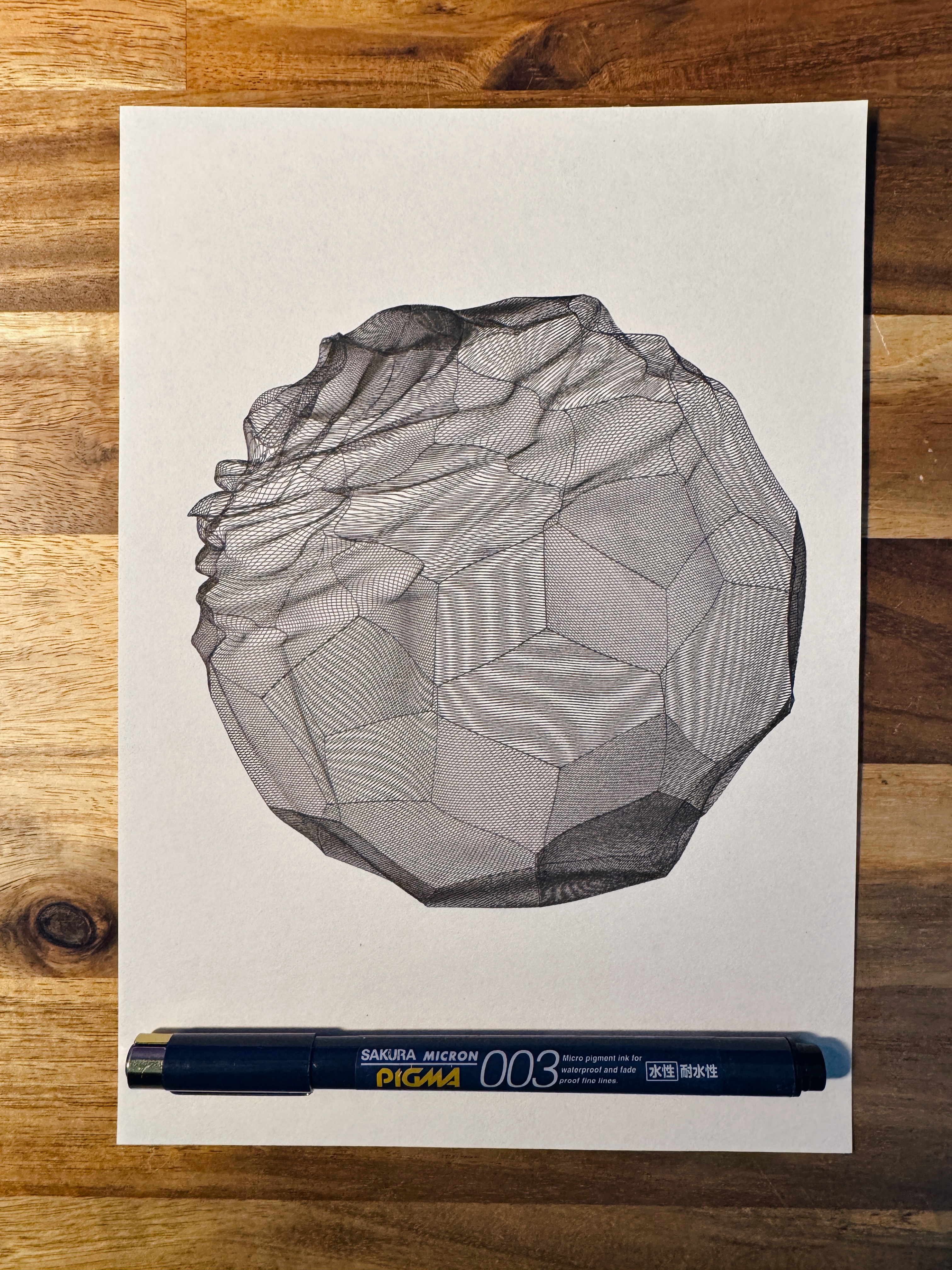 pen plotter art example