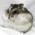 Avatar for mousedoc from gravatar.com