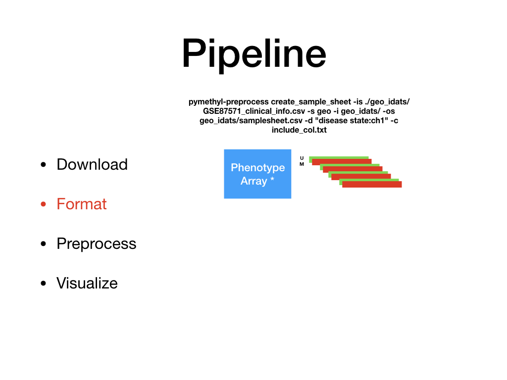 pipeline-format