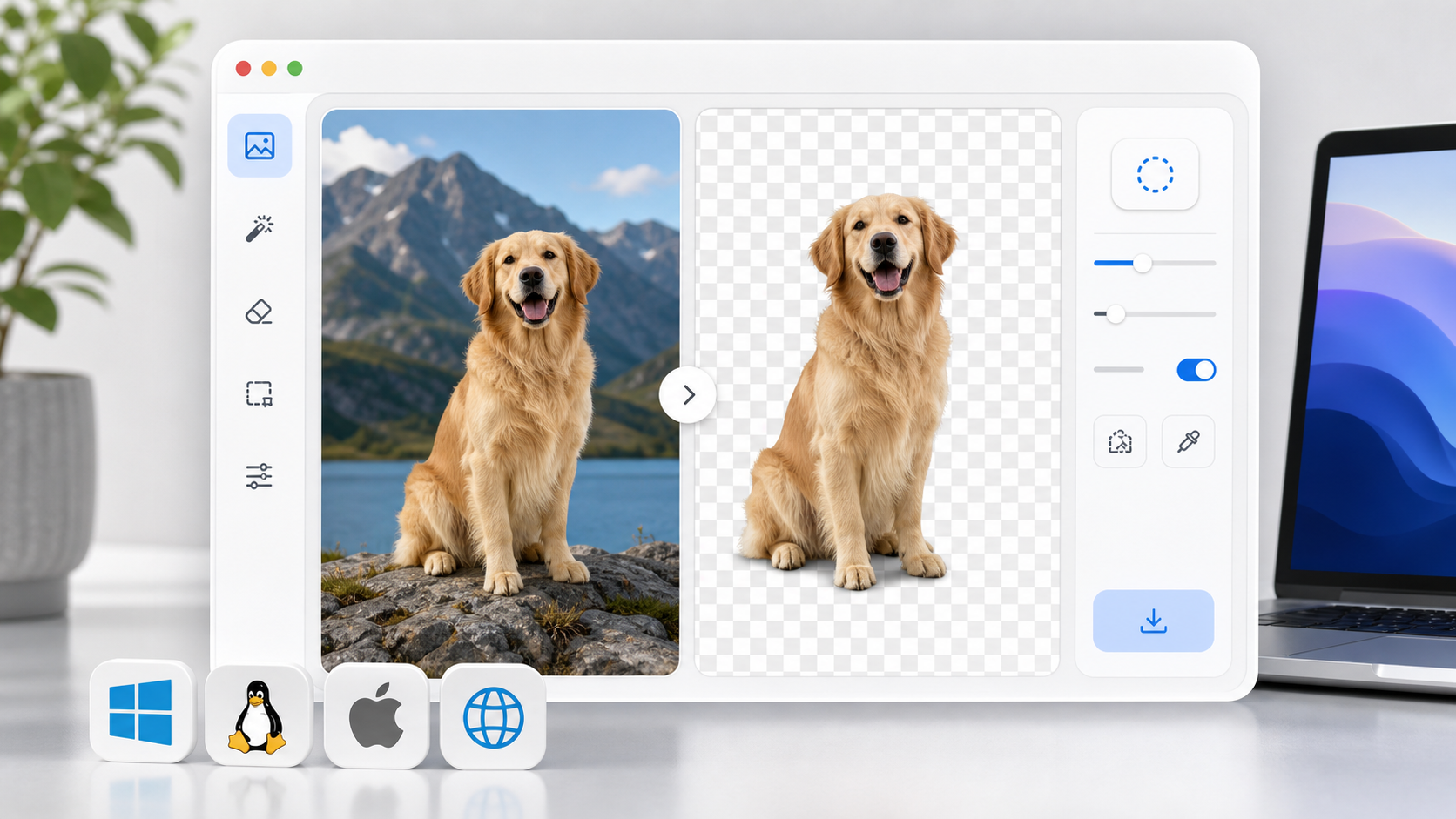 Background Remover hero