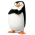 Avatar for pykuga from gravatar.com