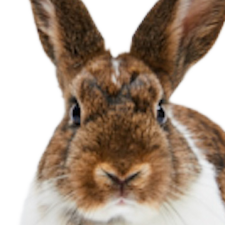 Avatar for Lisa Zorn from gravatar.com