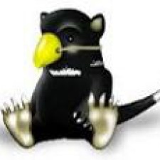 Avatar for Sachin from gravatar.com