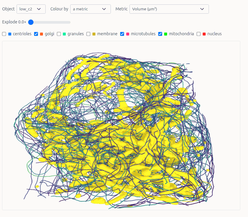 The 3D view of a cell drawn from its geometry
