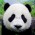 Avatar for dmakhno from gravatar.com