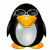 Avatar for germanocosti from gravatar.com