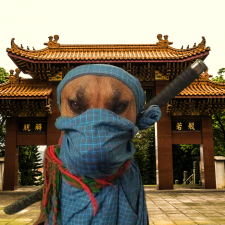 Avatar for raffleberry from gravatar.com