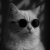 Avatar for SiriLv from gravatar.com