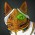 Avatar for igorDykhta from gravatar.com