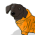 Avatar for relyanow from gravatar.com