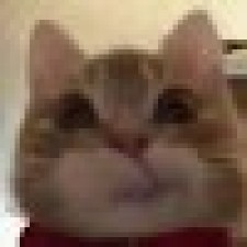 Avatar for streetrat from gravatar.com