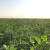 Avatar for sama_control from gravatar.com