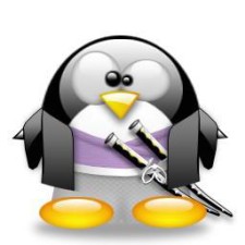 Avatar for Vincent VAN HOLLEBEKE from gravatar.com