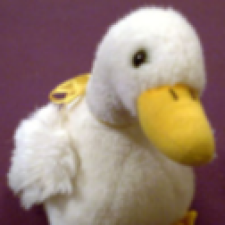 Avatar for Mog Nesbitt from gravatar.com