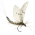 Avatar for mayfly from gravatar.com
