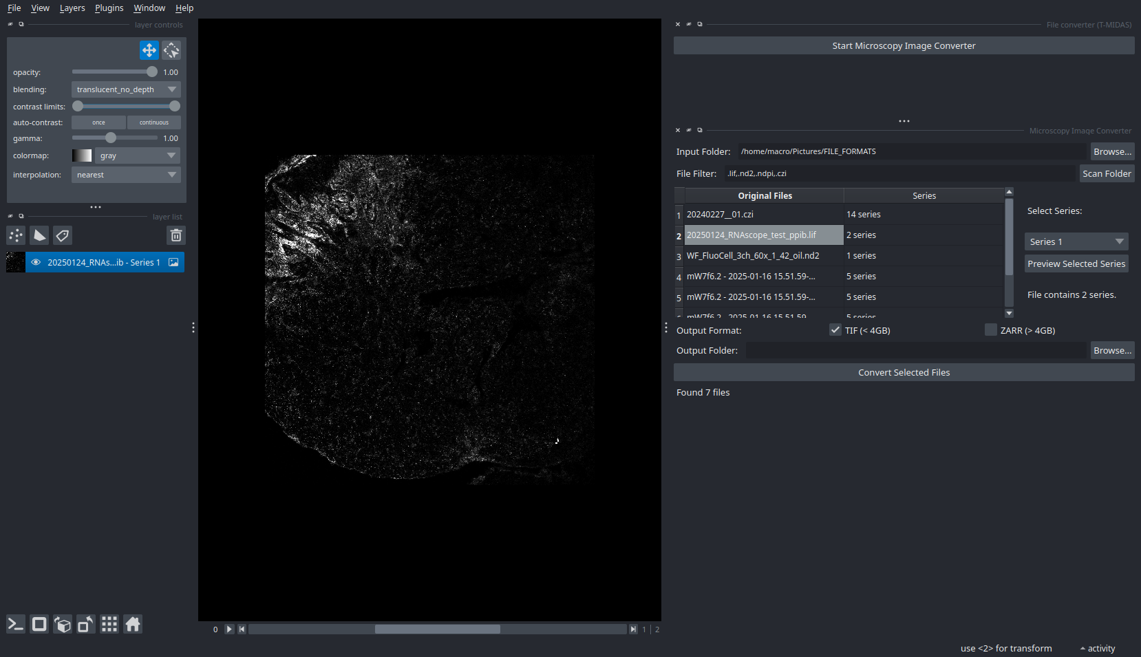 Microscopy Image Conversion Widget