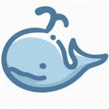 Avatar for Zsolt Horvath from gravatar.com