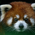 Avatar for shadow113323 from gravatar.com