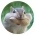 Avatar for tpouyer2000 from gravatar.com