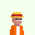 Avatar for trippykiwi from gravatar.com