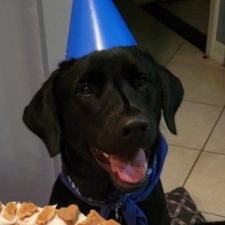 Avatar for Justin Garofolo from gravatar.com