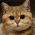 Avatar for kainpl from gravatar.com