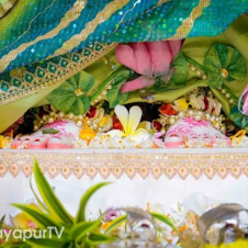 Avatar for Shyam from gravatar.com