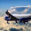 Avatar for VacationAir from gravatar.com