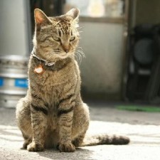 Avatar for kwkw from gravatar.com