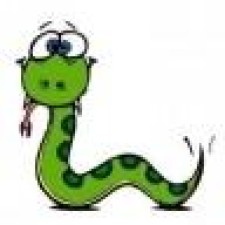 Avatar for maivel from gravatar.com
