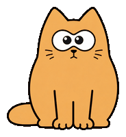 cat.gif