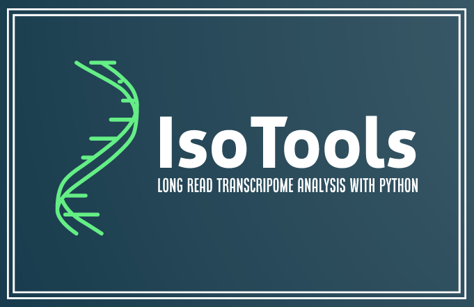 IsoTools Logo