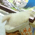 Avatar for ywleeo from gravatar.com
