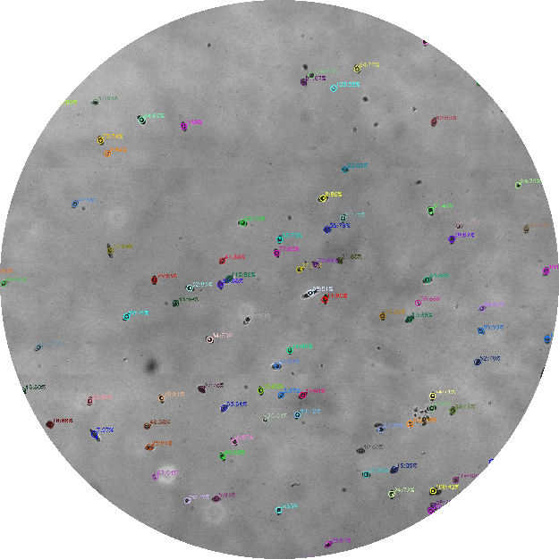 Detection Demo