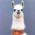 Avatar for andyklimczak from gravatar.com