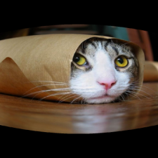 Avatar for kriw from gravatar.com